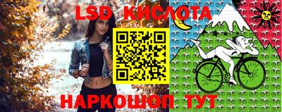 сатива Коммунар