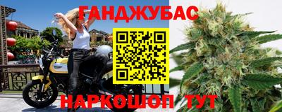 сатива Коммунар