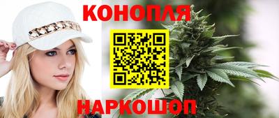 сатива Коммунар
