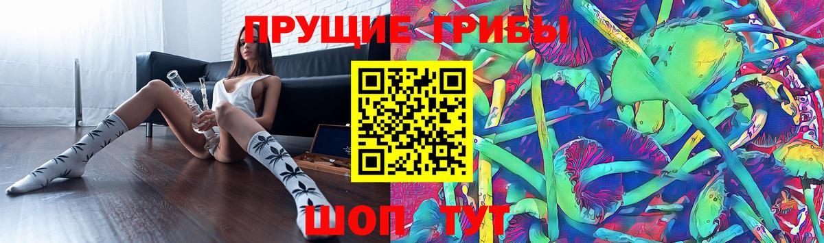 Псилоцибиновые грибы MAGIC MUSHROOMS Киселёвск