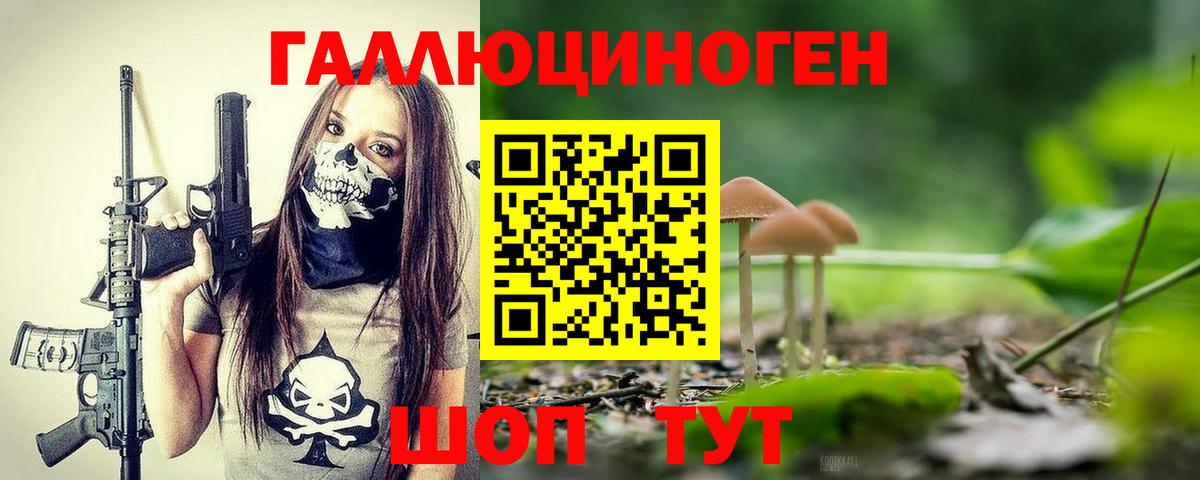 Киселёвск  Галлюциногенные грибы мицелий  закладка  Вход с VPN  Галлюциногенные грибы GOLDEN TEACHER 