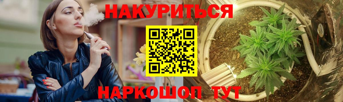 Бошки Шишки планчик Киселёвск